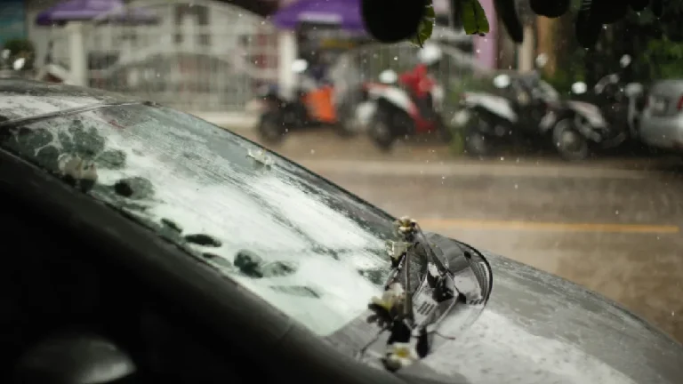 How to Remove Water Spots from Auto Glass